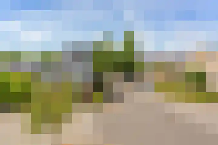 Orchideelaan 188 Badhoevedorp thumbnail 34