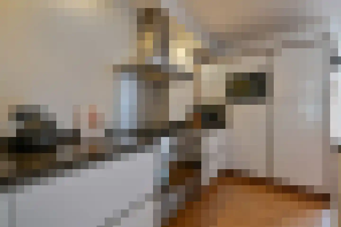 Orchideelaan 4 De Kwakel thumbnail 10