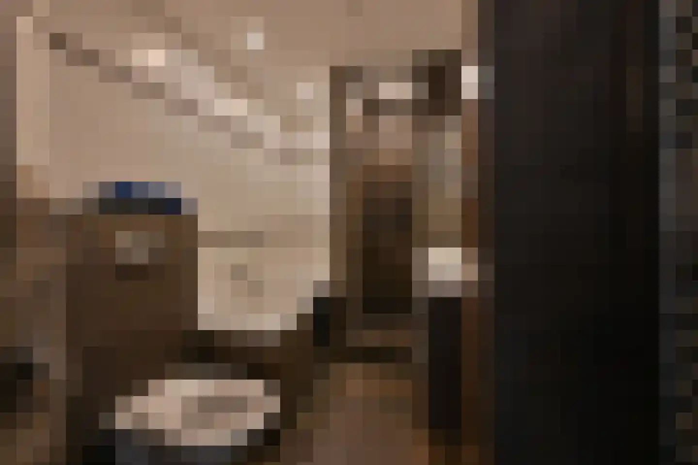 Orchideelaan 4 De Kwakel thumbnail 18