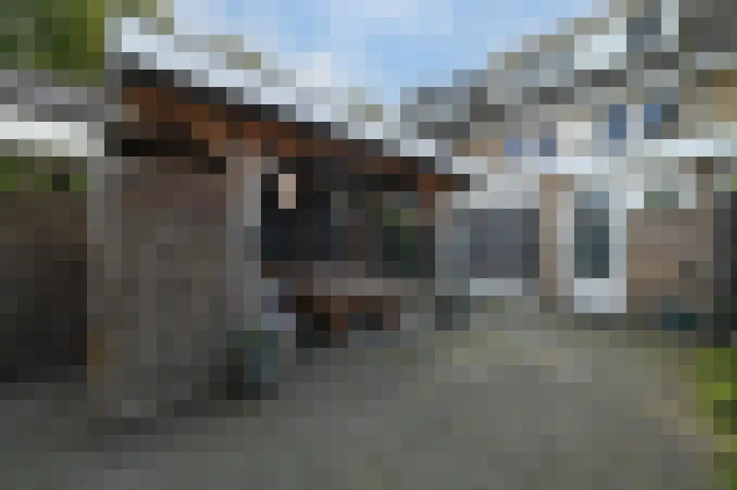 Orchideelaan 4 De Kwakel thumbnail 25
