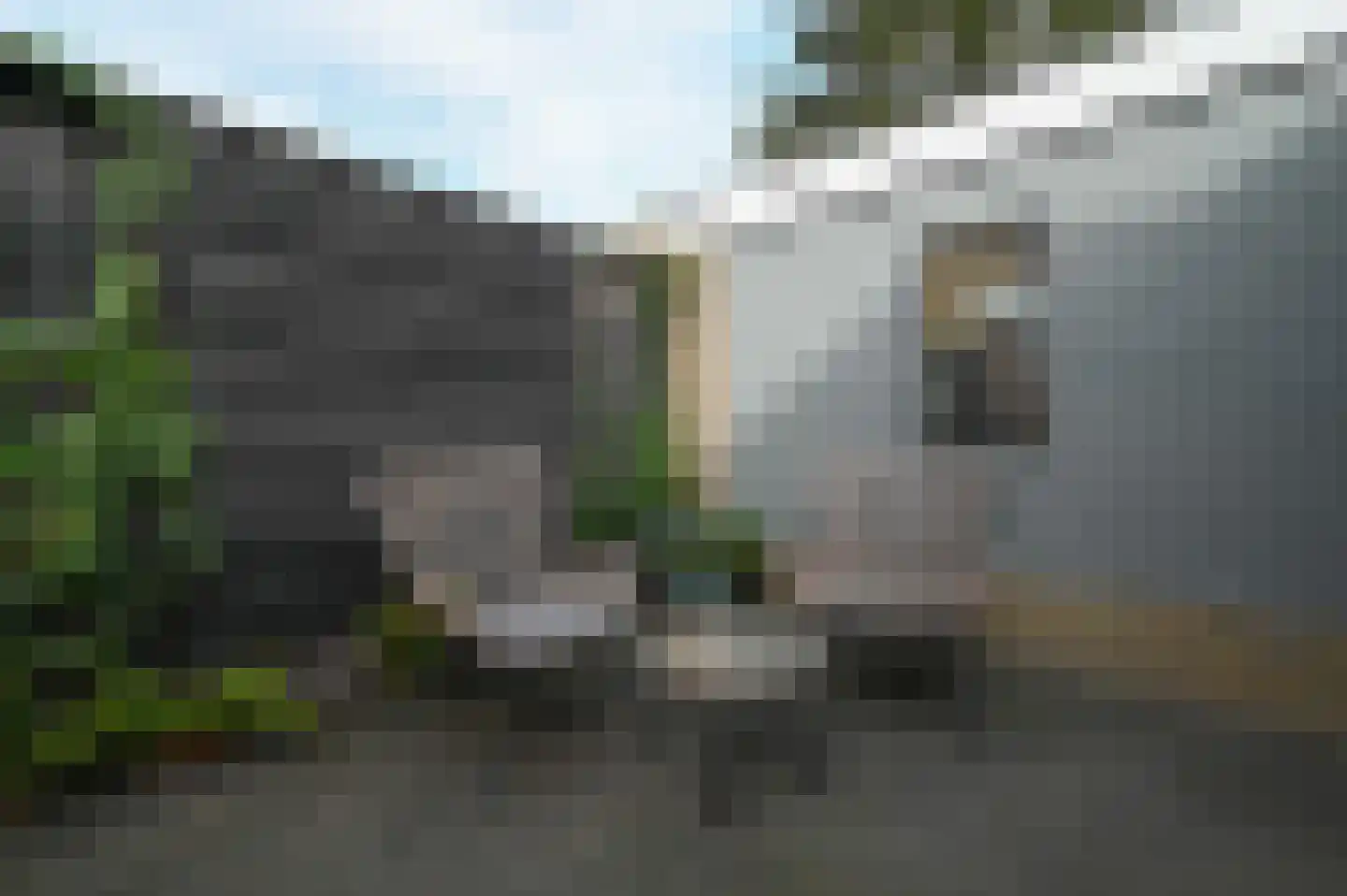 Orchideelaan 4 De Kwakel thumbnail 28