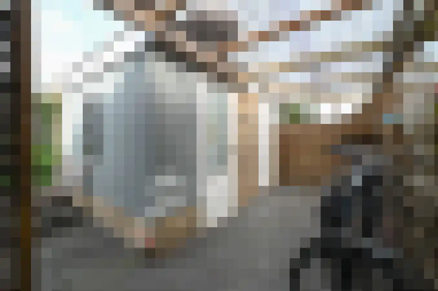 Orchideelaan 4 De Kwakel thumbnail 29