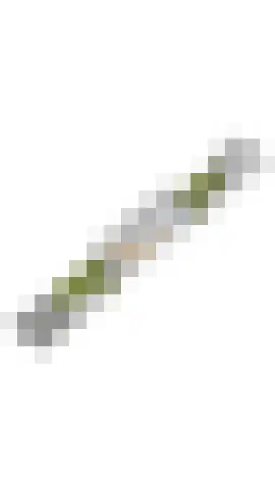 Orchideelaan 4 De Kwakel thumbnail 35