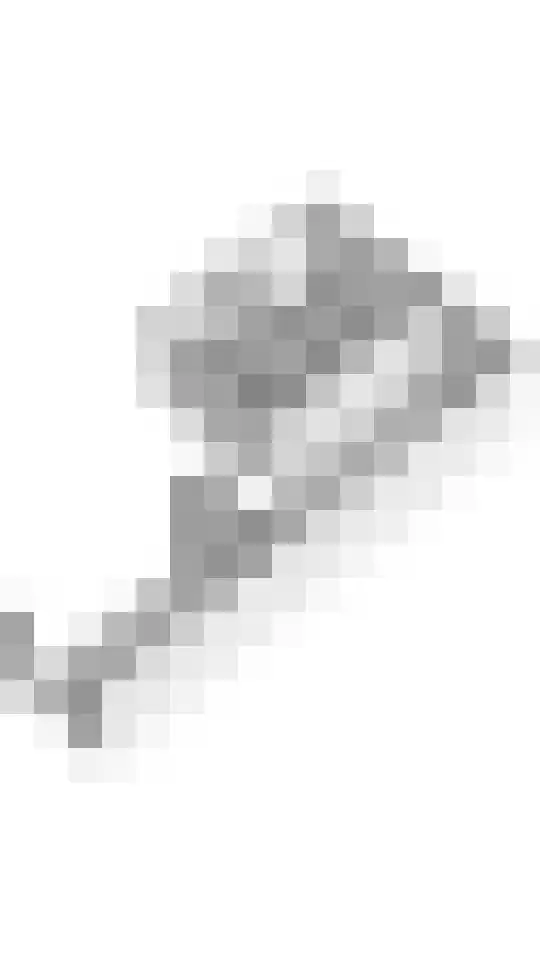 Orchideelaan 4 De Kwakel thumbnail 43