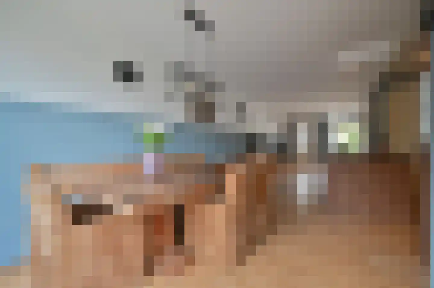 Orchideelaan 4 De Kwakel thumbnail 8