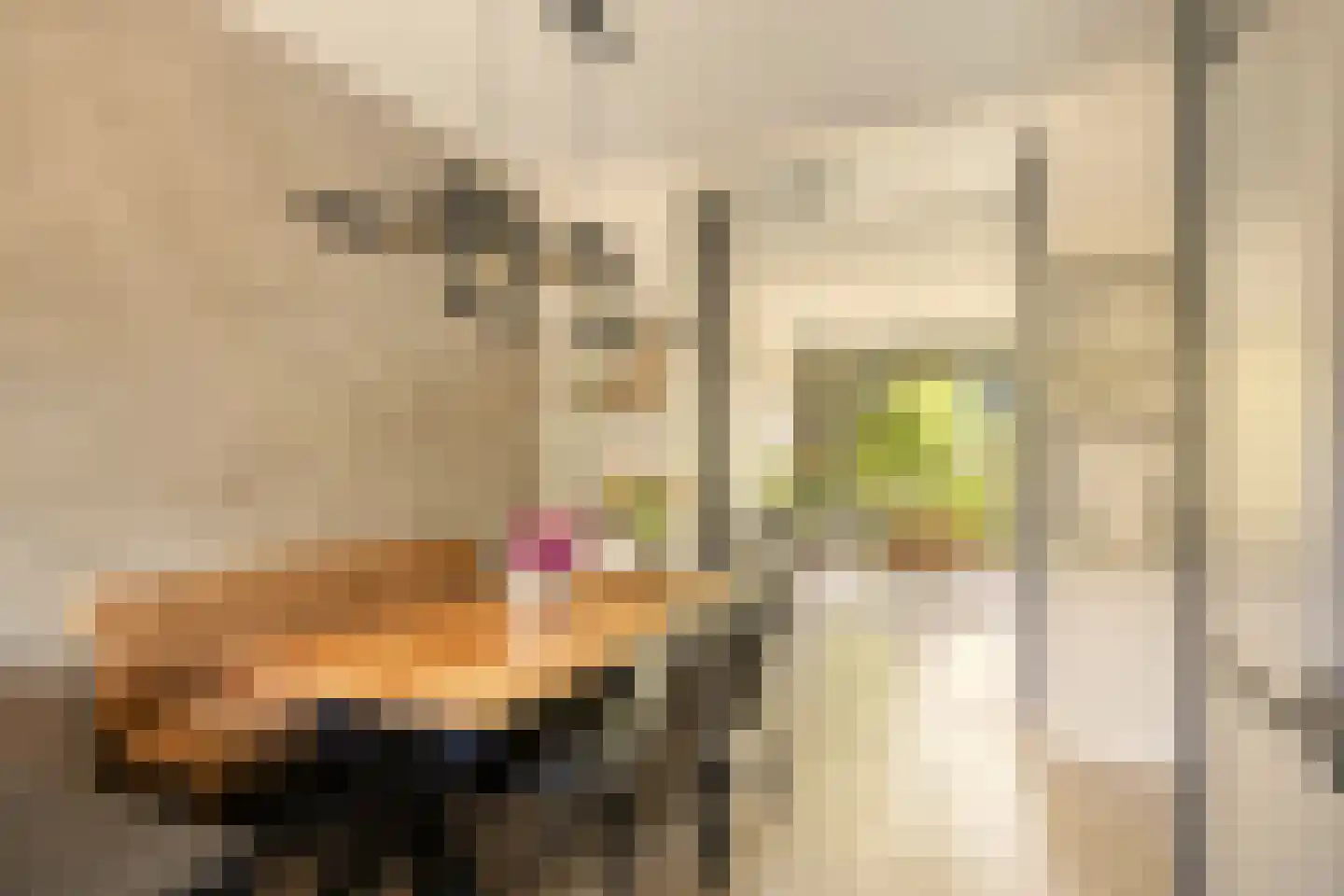 Orchideestraat 10 Den Haag thumbnail 12