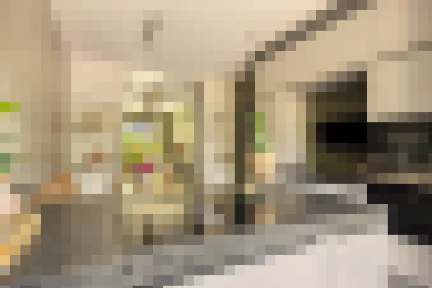 Orchideestraat 10 Den Haag thumbnail 15