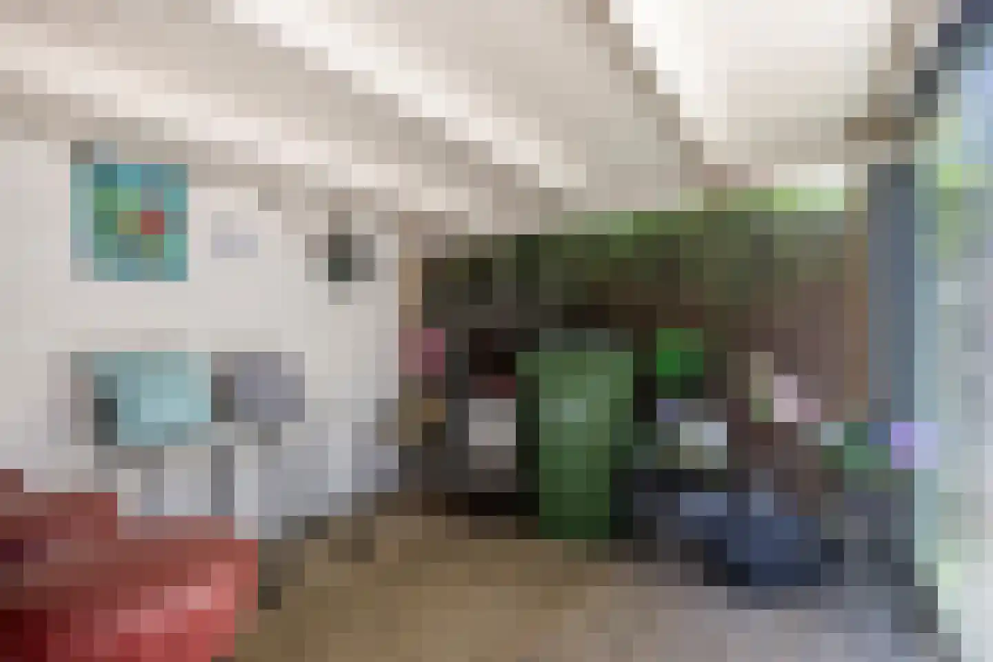 Orchideestraat 10 Den Haag thumbnail 21