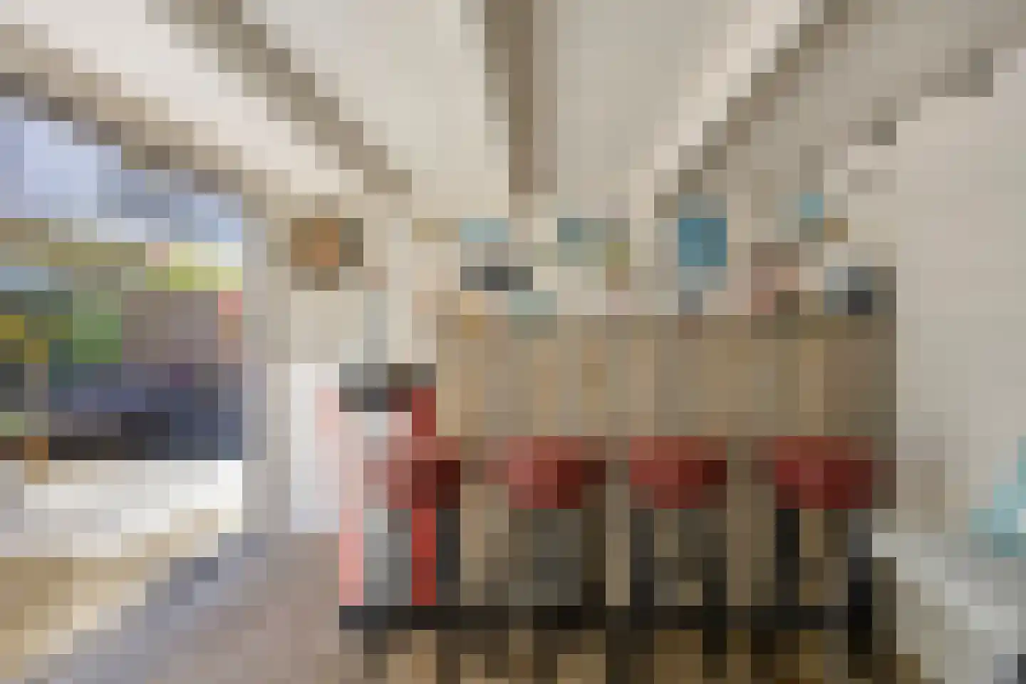 Orchideestraat 10 Den Haag thumbnail 22