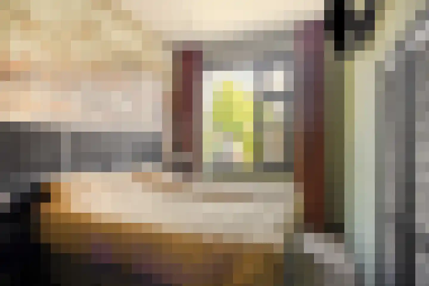 Orchideestraat 10 Den Haag thumbnail 25