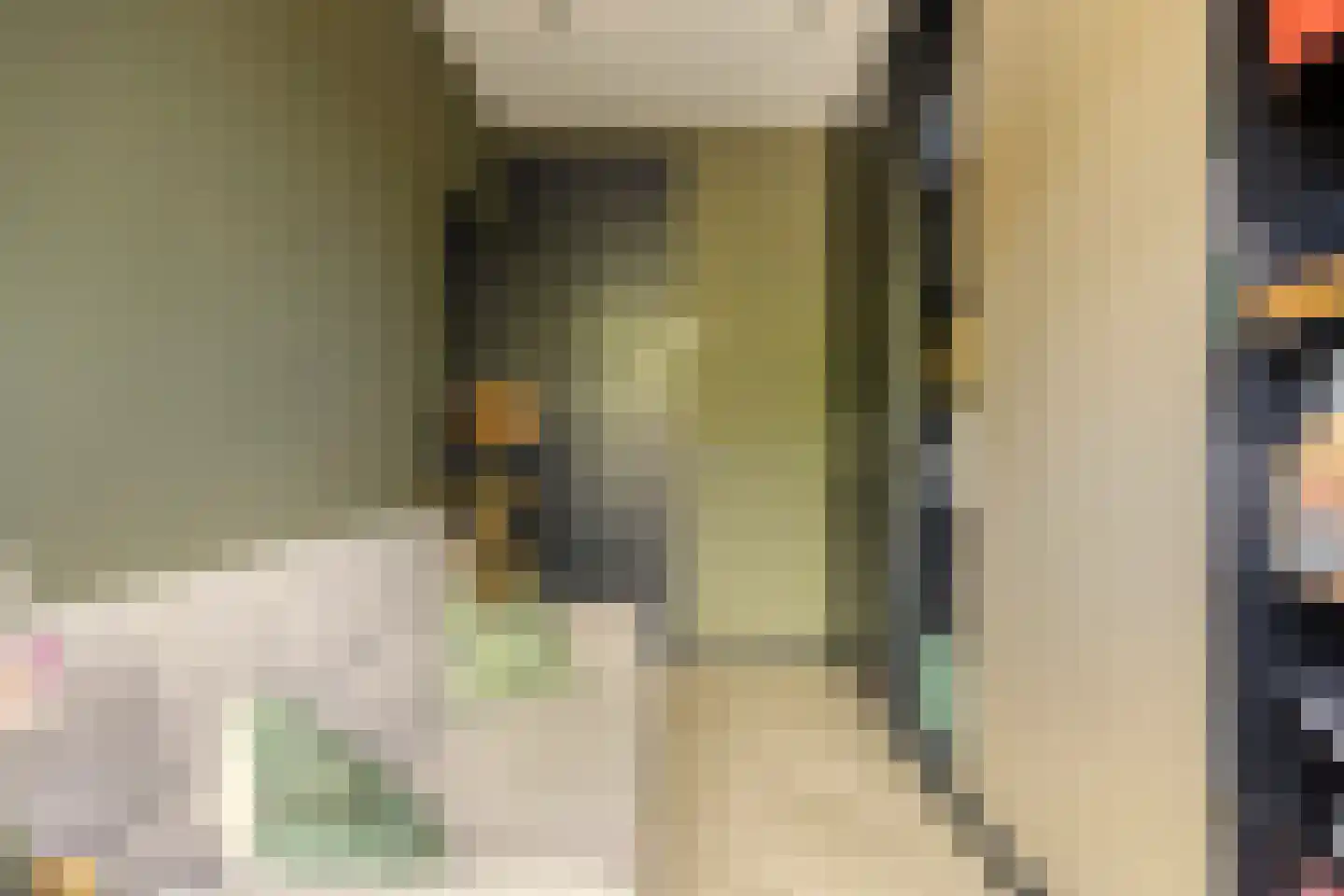 Orchideestraat 10 Den Haag thumbnail 31