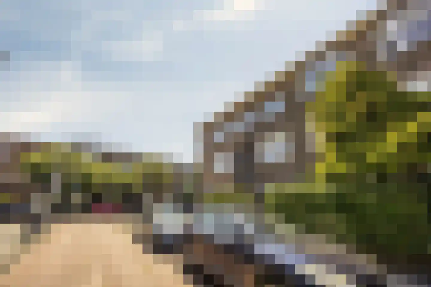 Orchideestraat 10 Den Haag thumbnail 34