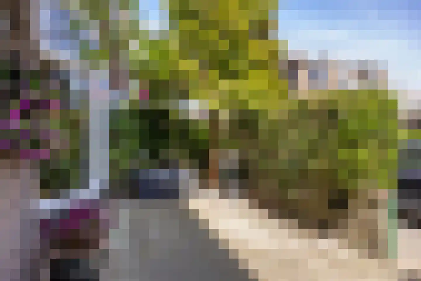 Orchideestraat 10 Den Haag thumbnail 5