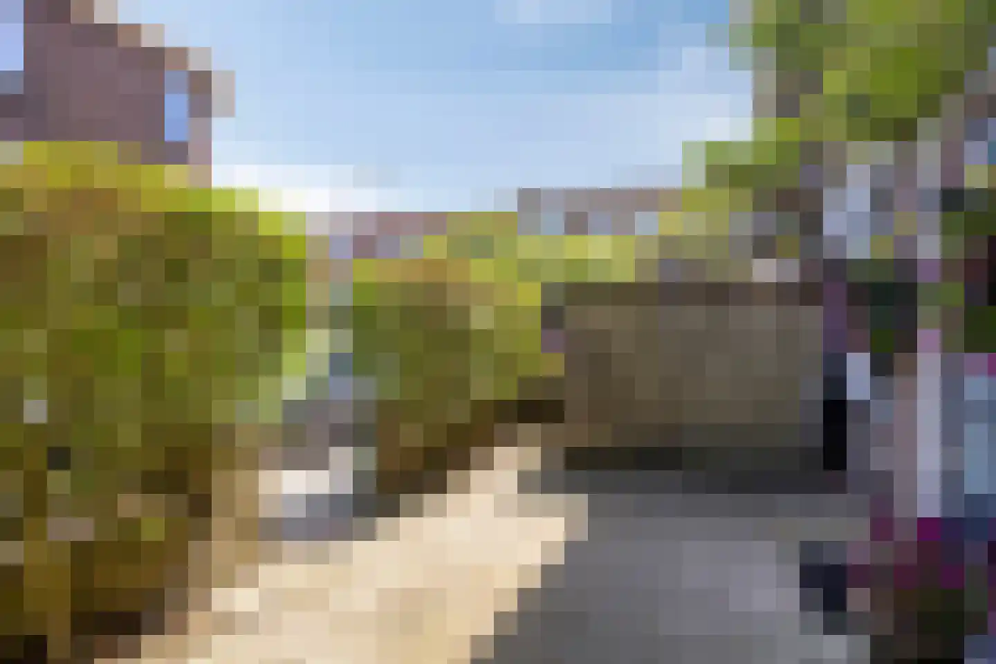 Orchideestraat 10 Den Haag thumbnail 6