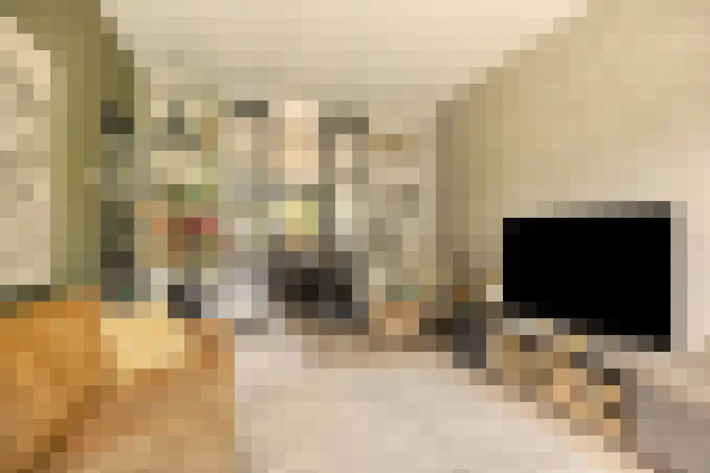 Orchideestraat 10 Den Haag thumbnail 9