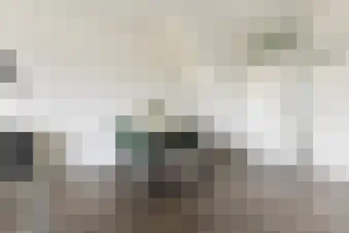 Orchideestraat 113 Groningen thumbnail 12