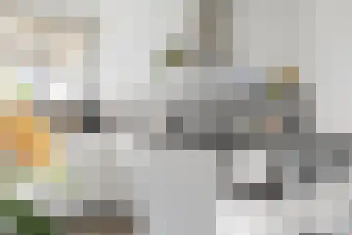 Orchideestraat 113 Groningen thumbnail 18