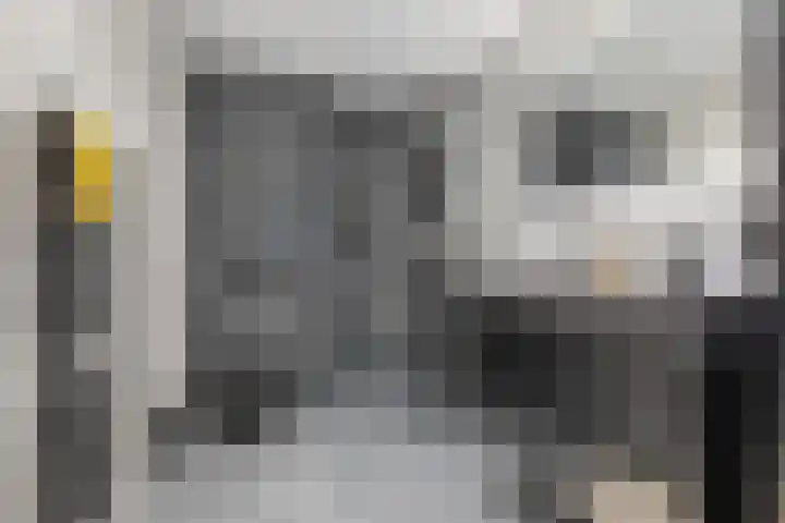 Orchideestraat 113 Groningen thumbnail 29
