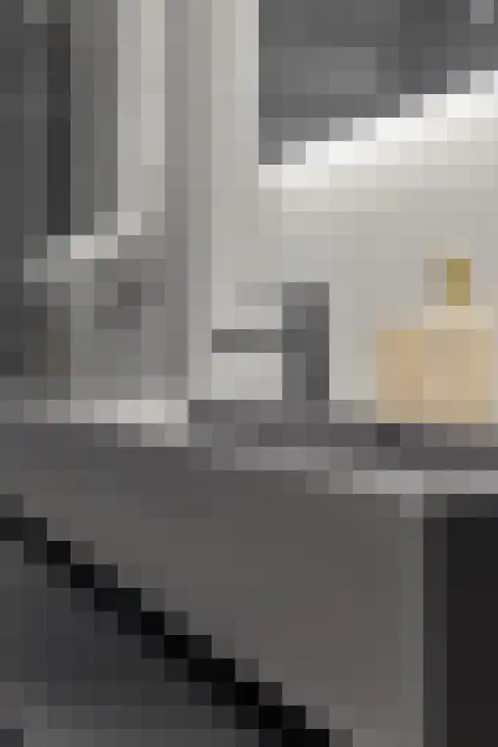 Orchideestraat 113 Groningen thumbnail 32
