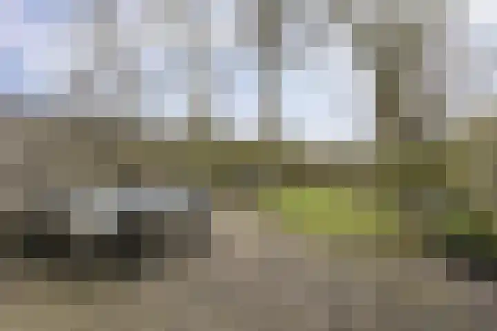 Orchideestraat 113 Groningen thumbnail 33