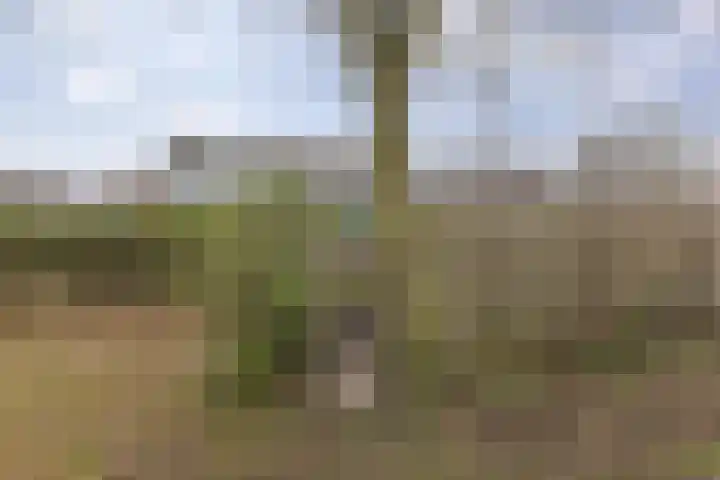 Orchideestraat 113 Groningen thumbnail 36