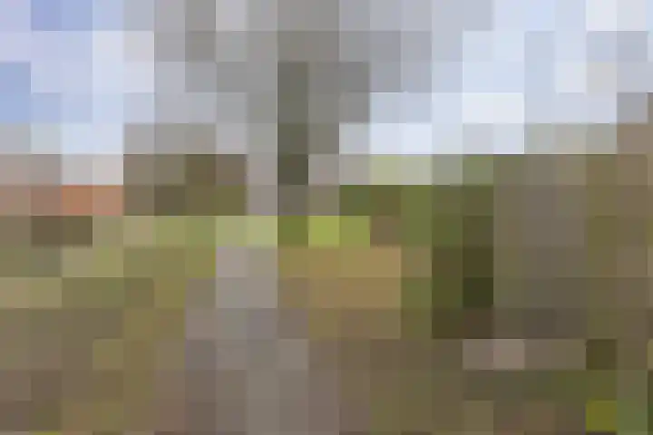 Orchideestraat 113 Groningen thumbnail 37