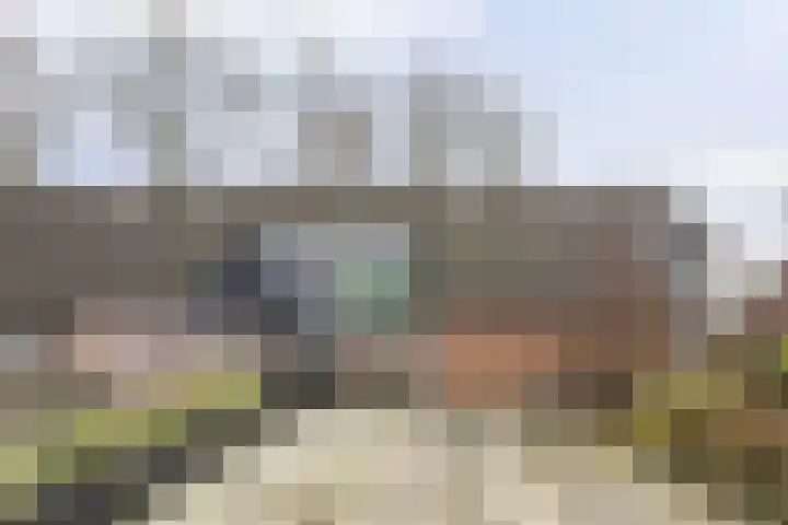 Orchideestraat 113 Groningen thumbnail 38