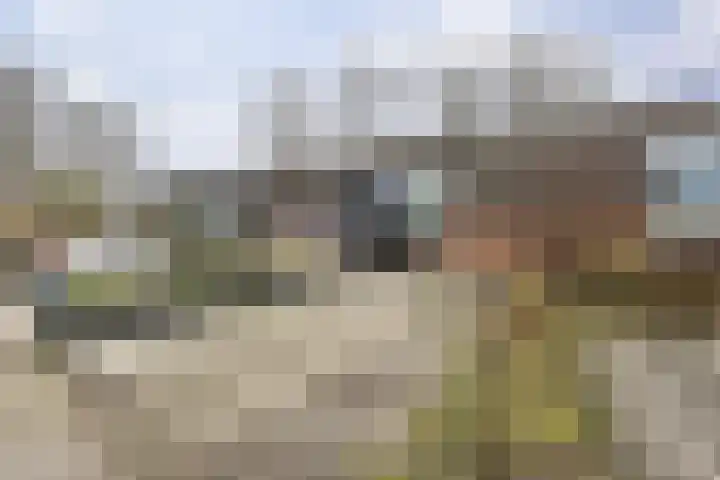 Orchideestraat 113 Groningen thumbnail 39