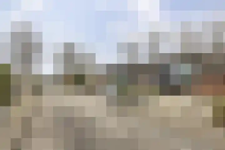 Orchideestraat 113 Groningen thumbnail 40