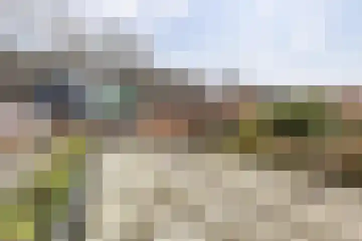 Orchideestraat 113 Groningen thumbnail 6