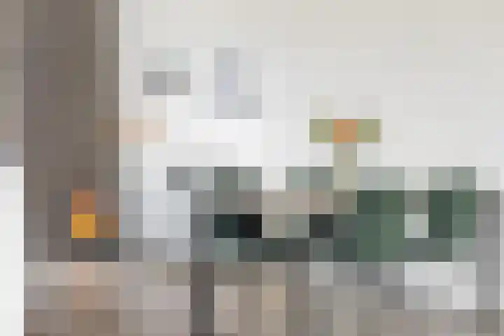 Orchideestraat 113 Groningen thumbnail 9