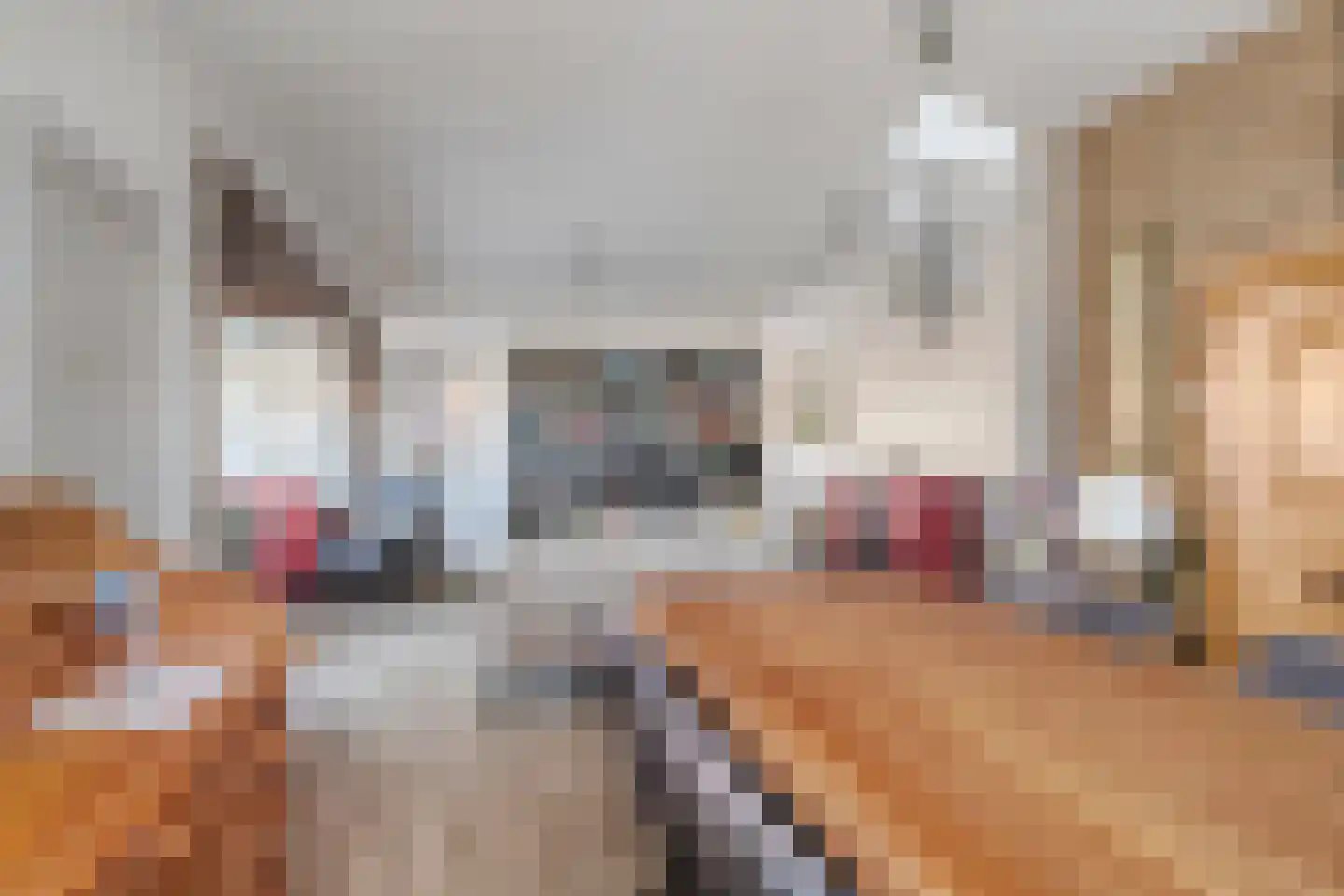 Orchideestraat 12 Breskens thumbnail 11