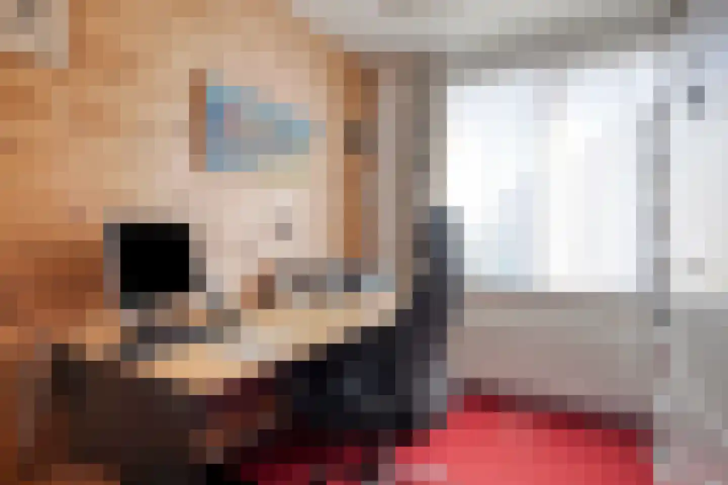 Orchideestraat 12 Breskens thumbnail 22