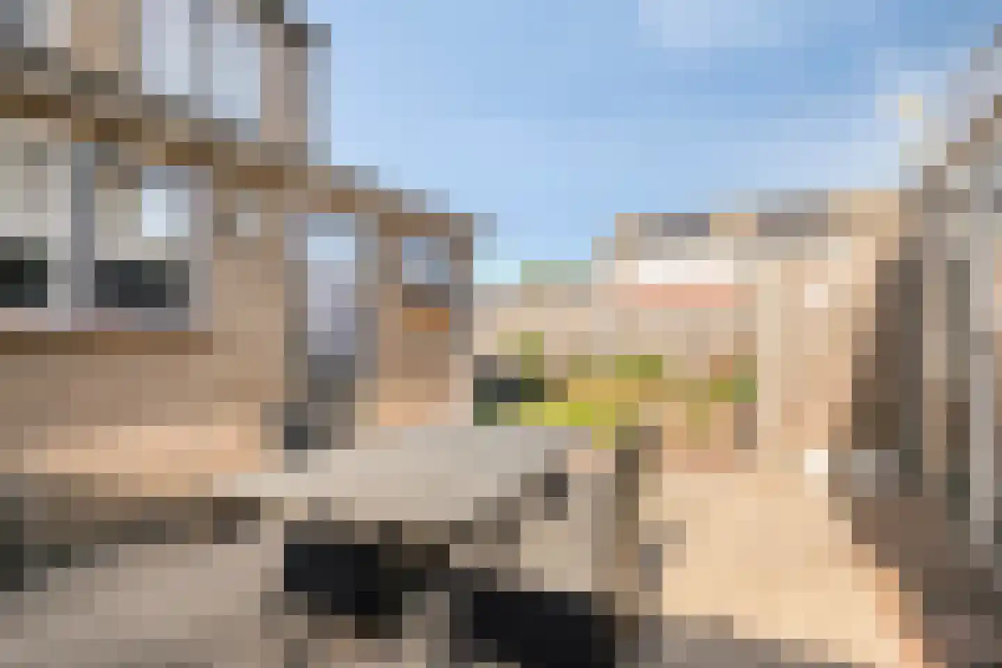 Orchideestraat 12 Breskens thumbnail 26