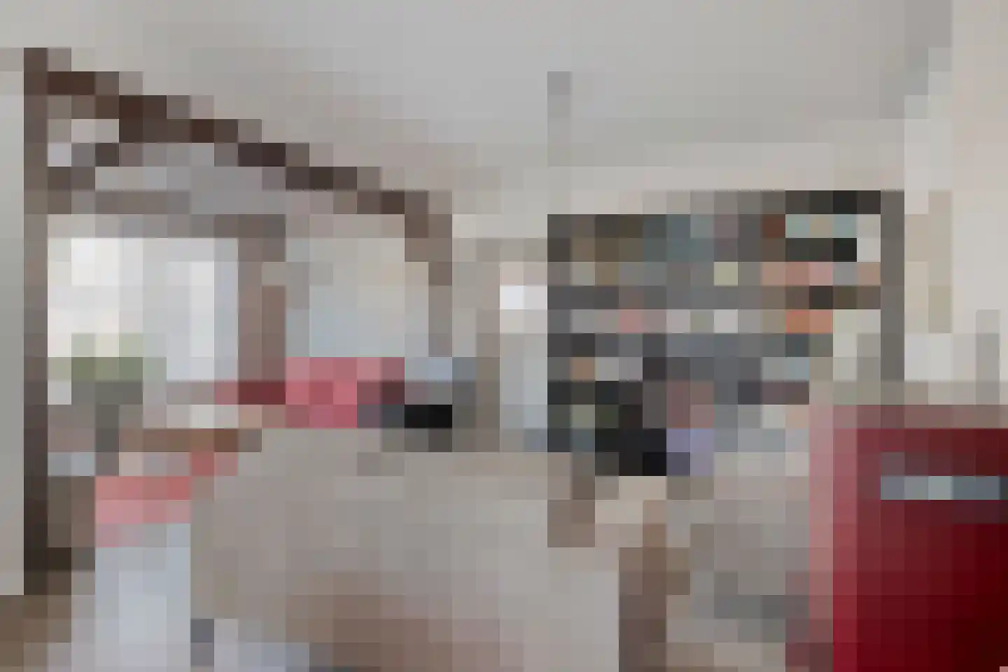 Orchideestraat 12 Breskens thumbnail 6