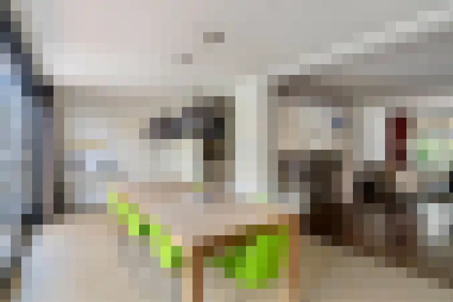 Orchideestraat 14 Leende thumbnail 4