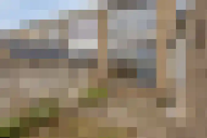 Orchideestraat 15 Steenbergen thumbnail 24