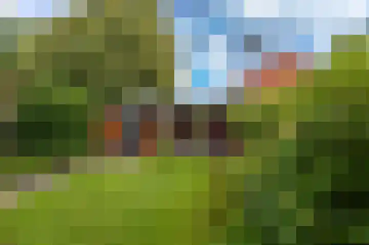 Orchideestraat 158 Groningen thumbnail 18
