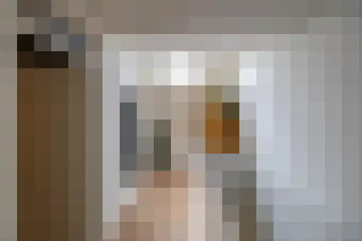 Orchideestraat 158 Groningen thumbnail 33