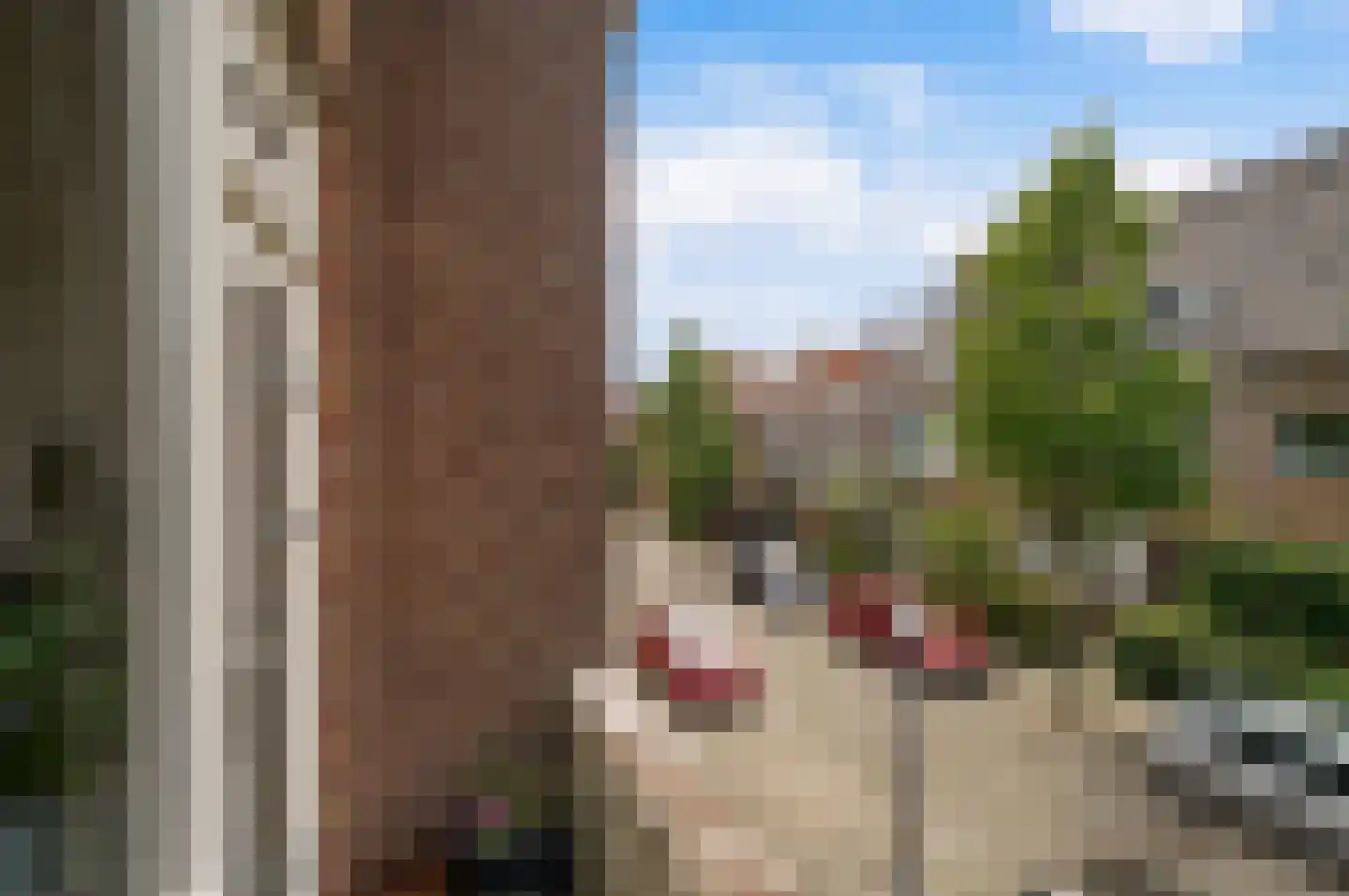 Orchideestraat 16 B Rotterdam thumbnail 16