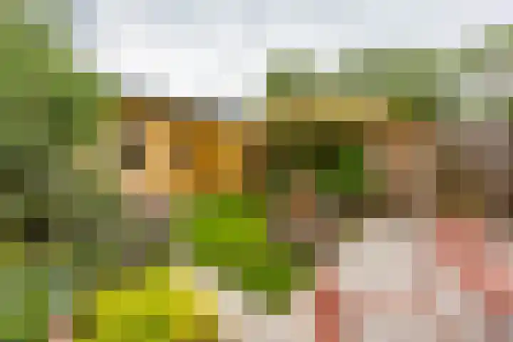 Orchideestraat 175 Groningen thumbnail 38