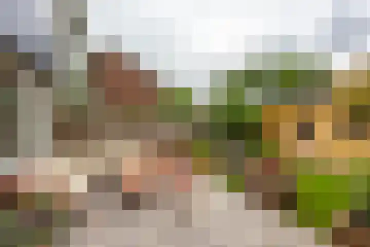 Orchideestraat 175 Groningen thumbnail 5