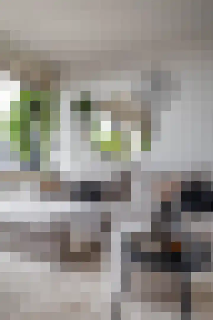 Orchideestraat 182 Groningen thumbnail 11
