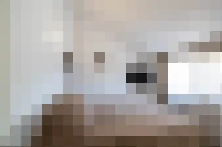 Orchideestraat 182 Groningen thumbnail 30