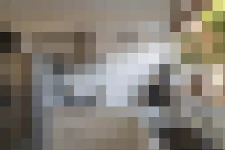 Orchideestraat 182 Groningen thumbnail 8
