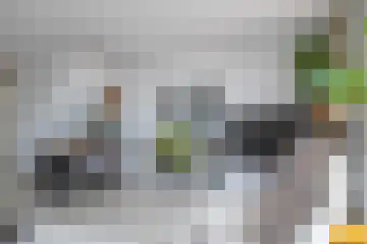 Orchideestraat 182 Groningen thumbnail 9