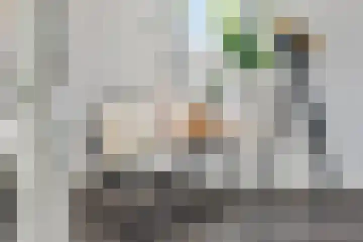 Orchideestraat 2 C Spijkenisse thumbnail 10
