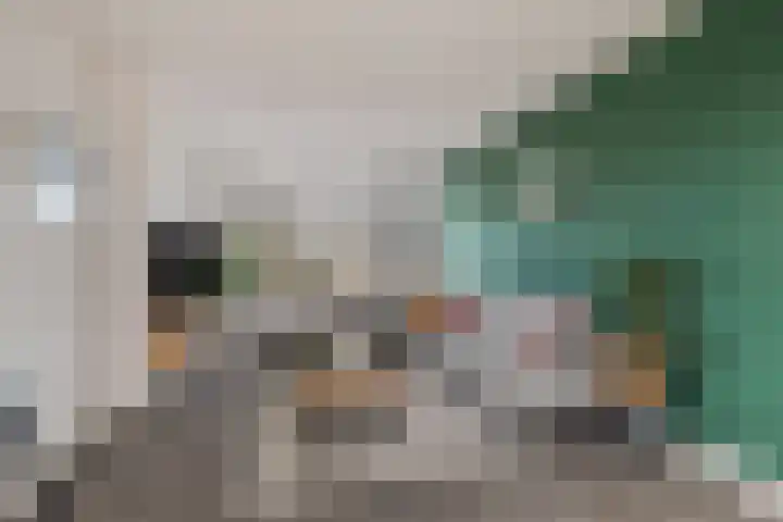 Orchideestraat 2 C Spijkenisse thumbnail 14