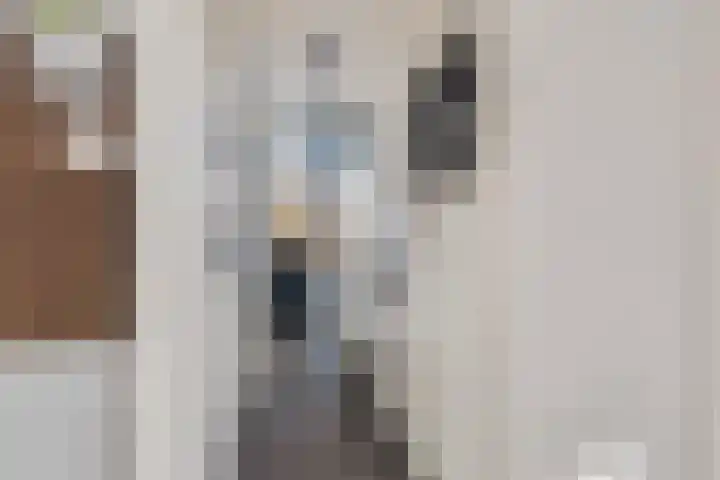 Orchideestraat 2 C Spijkenisse thumbnail 16