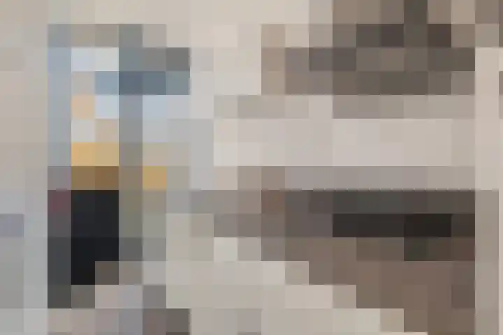 Orchideestraat 2 C Spijkenisse thumbnail 17